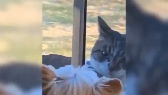 7 МИНУТ СМЕХА смотреть онлайн