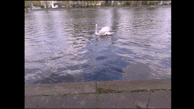 Augustów,Polska,Августов,Польша смотреть онлайн