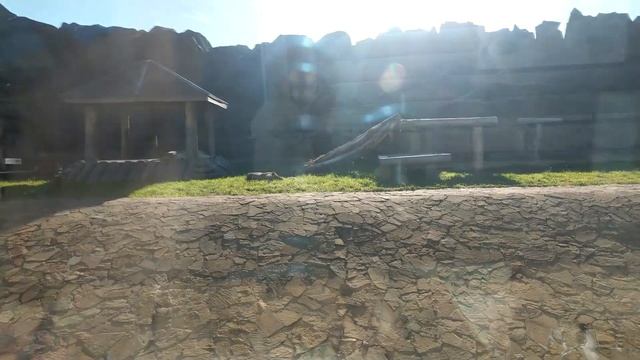 Зоопарк в Ижевске - видеоэкскурсия смотреть онлайн