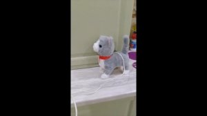 Интерактивная кошка Ласковая Кэтти