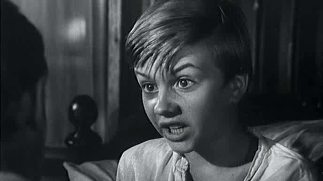 Адъютант  его превосходительства