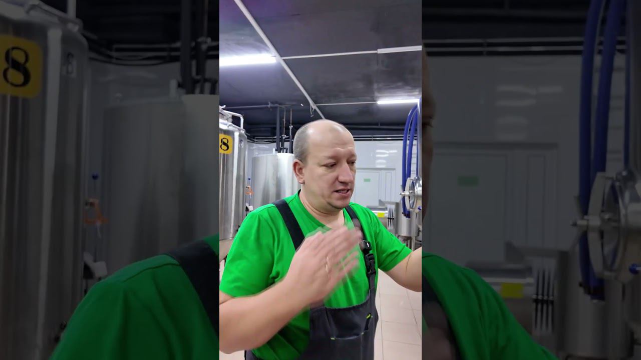 ЦКТ после брожения #самозванцы #shorts смотреть онлайн