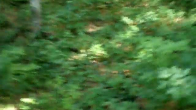 Поход на молочный камень смотреть онлайн