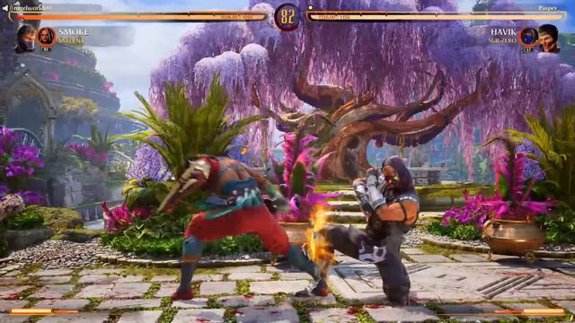 The Hardest Havik Brutality To Get! - Mortal Kombat 1: "Havik" Gameplay (Sub-Zero Kameo) смотреть онлайн