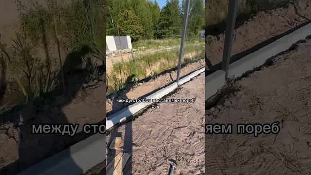 ?лента под забор по 700₽ мп смотреть онлайн