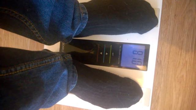 Кот мейн-кун 12.5 кг приглашает кошек на вязку смотреть онлайн