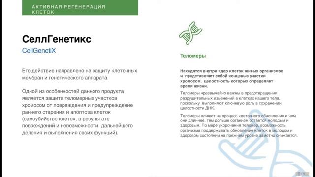 Теломеры и Селлгенетикс смотреть онлайн