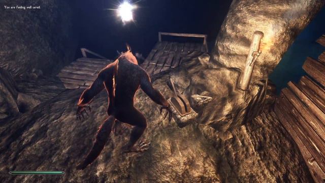 Druid Transforms and Absolutely Destroys Bandits смотреть онлайн