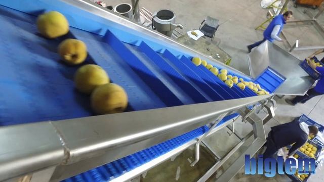 Очистка кожуры персика промышленными методами от BIGTEM