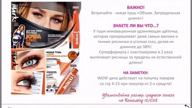 Новая информация для координаторов по каталогу 12 2018 смотреть онлайн