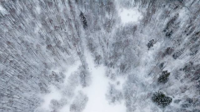 Петровский пруд зимой смотреть онлайн