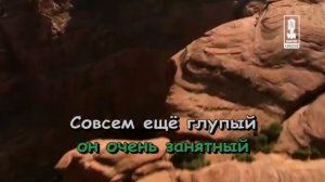 Детские   Пропала Собака
