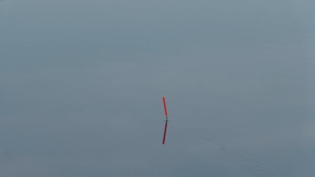 РЫБАЛКА С ДЕТЬМИ ОКОЛО ДОМА смотреть онлайн