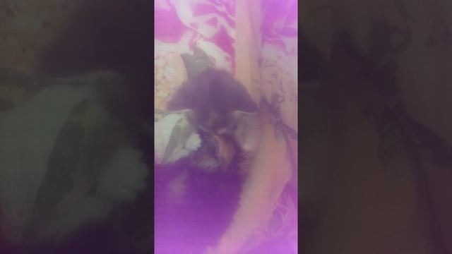 Когда просишь прощение у жены ??? смотреть онлайн