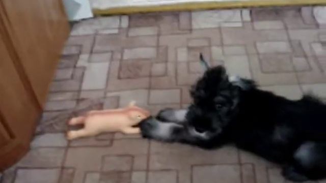 Аве Конкорд Навигатор смотреть онлайн