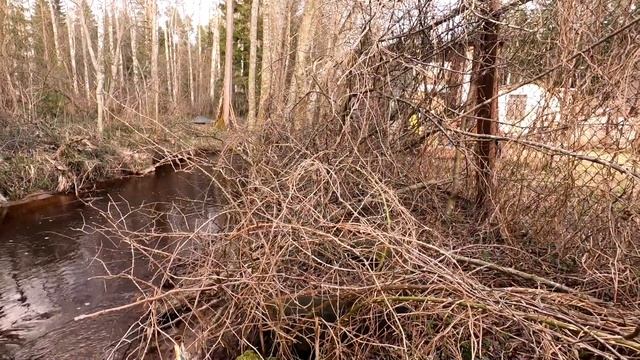 Дача мечты.Сделал компостную кучу и грядку смотреть онлайн