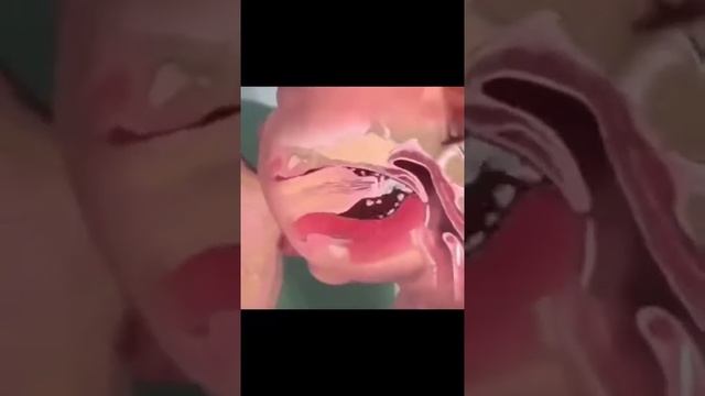 Breast Feeding ?? Mother And Baby Love , Mbbs Status ?