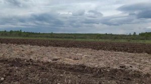 Дискование после вспашки целины. Подъем целины. Вторая обработка дикой земли.