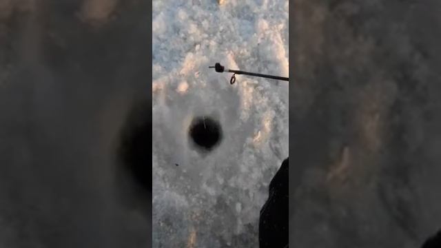 когалым рыбалка на озере 02.12.2020 смотреть онлайн