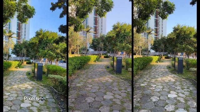 Pixel 6 Vs Mi 11 Ultra Vs IPhone 13 Pro Max CAMERA TEST
