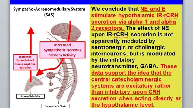 Genetic Roots of Pain and Anxiety - COMT, MAO and MTHFR смотреть онлайн