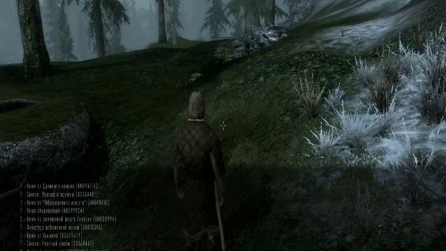 Как выбросить квестовый предмет из инвентаря в TES V: Skyrim смотреть онлайн