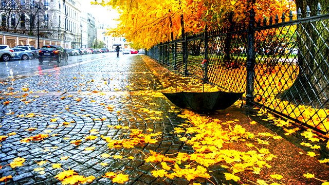 Вадим Егоров - "Я вас люблю, мои дожди" смотреть онлайн