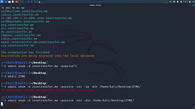 3.19. Automated Web Recon with OWASP Amass смотреть онлайн