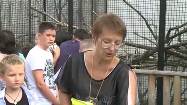 В Пензенском зоопарке отметили 30 летие павианов Кая и Герды смотреть онлайн