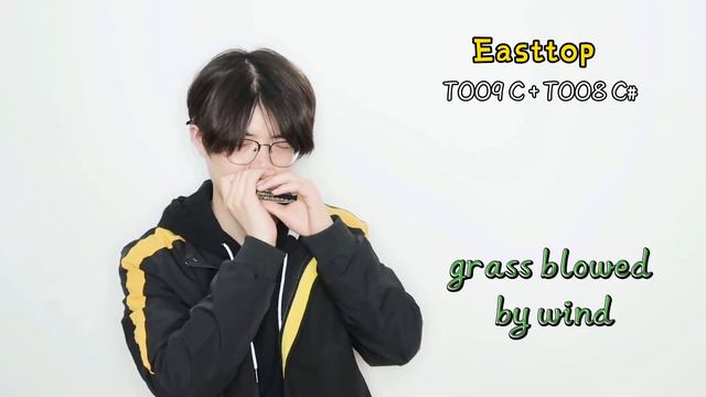 EAST TOP T009 C key +T008 C#,"grass blowed by wind",played by Clock смотреть онлайн