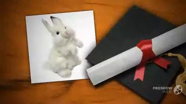 мягкая игрушка медведь смотреть онлайн