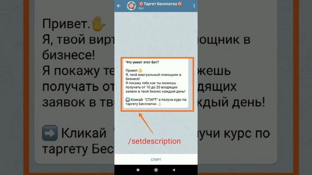 Создание бота в Botfather, и получение API токена