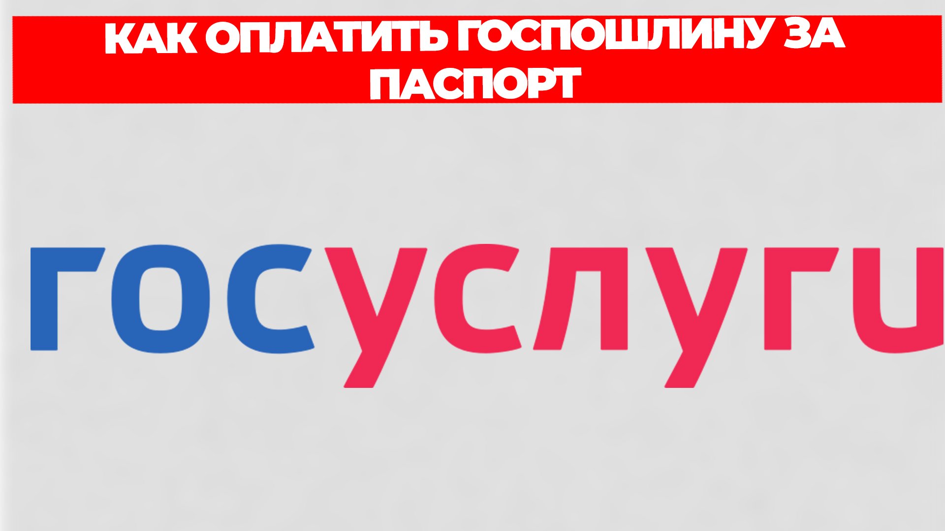 Всезнающий Енот