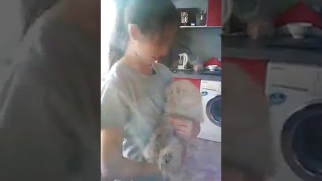 VLOG в гостях | Меня укусила собака смотреть онлайн