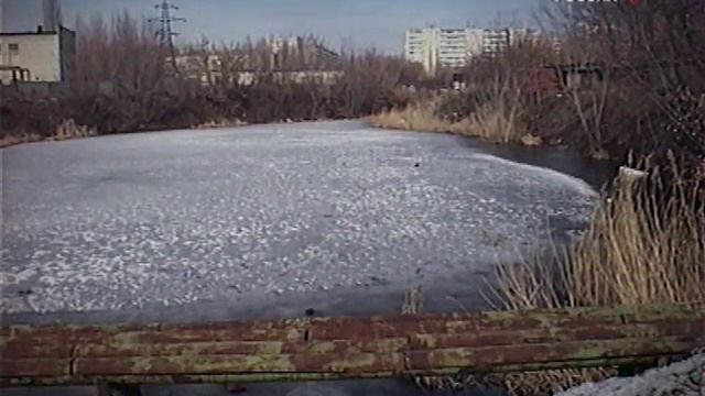 Что делать смотреть онлайн