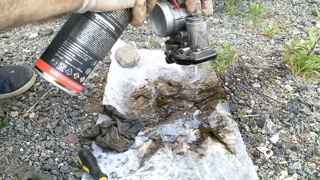 Ремонт с Живым Стилем: Интерьерные Идеи