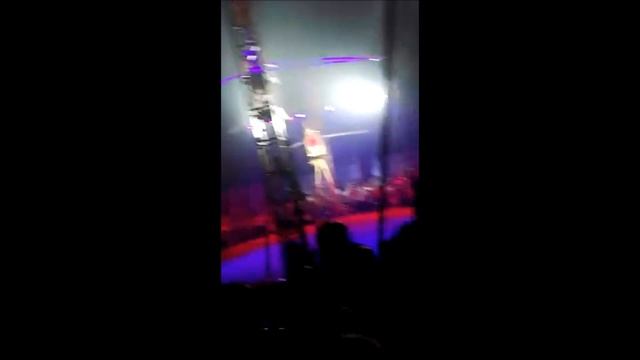 Представление из цирка в Актау смотреть онлайн