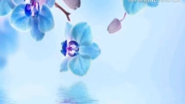 Музыка для флешмобов) смотреть онлайн