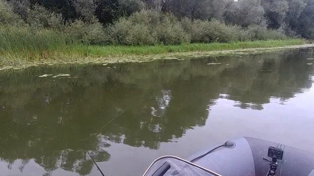 В поисках щуки. Рыбалка на реке Хопер. смотреть онлайн