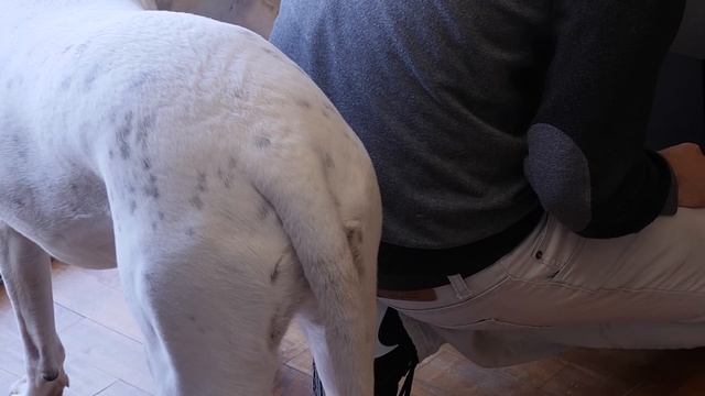 Soundbar 2.1 Económica Ideal PS5, Xbox Y TV!