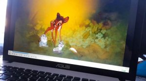 Обзор Диск-DVD Бемби (1982) год.