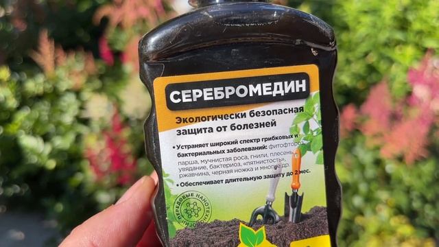 УХОД ЗА РАСТЕНИЯМИ, КОТОРЫЕ ОТЦВЕЛИ! смотреть онлайн