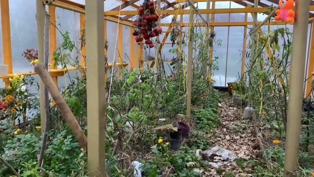 Готовлю ужин / навожу порядок в теплице / весёлый ужин смотреть онлайн