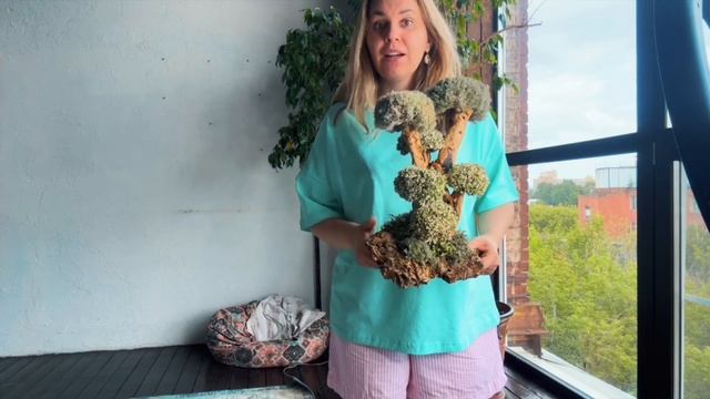 Цетрария Исландская - латинское название  Cetra жизненная сила!