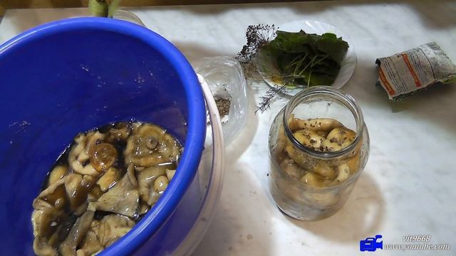 Засолка груздей.Часть 2. смотреть онлайн