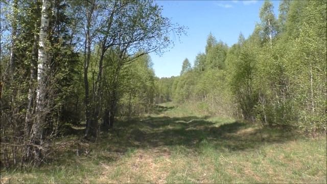 По границе Московской обл. на велосипеде. Часть 2-я. смотреть онлайн