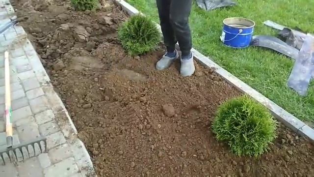 Креативная яркая клумба навеянная работами Пикассо, или как кроты не дали мне "слямзить" чужую идею смотреть онлайн