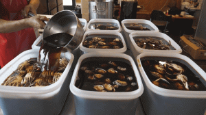 Приготовление маринованного краба в соевом соусе!