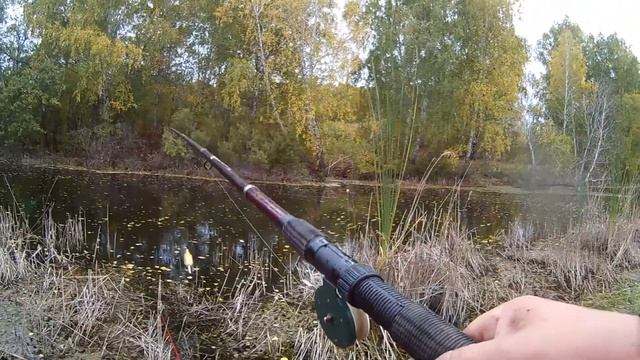 Рыбалка в Омской области. Тюкалинск 2-я Пятилетка. смотреть онлайн