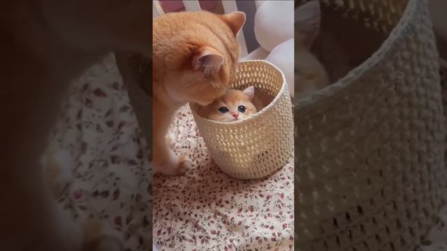 С мамой смотреть онлайн